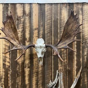 Meet your Posher, Gregg